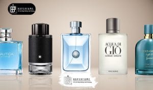 Nước hoa nam quyến rũ phụ nữ - Boperfumes